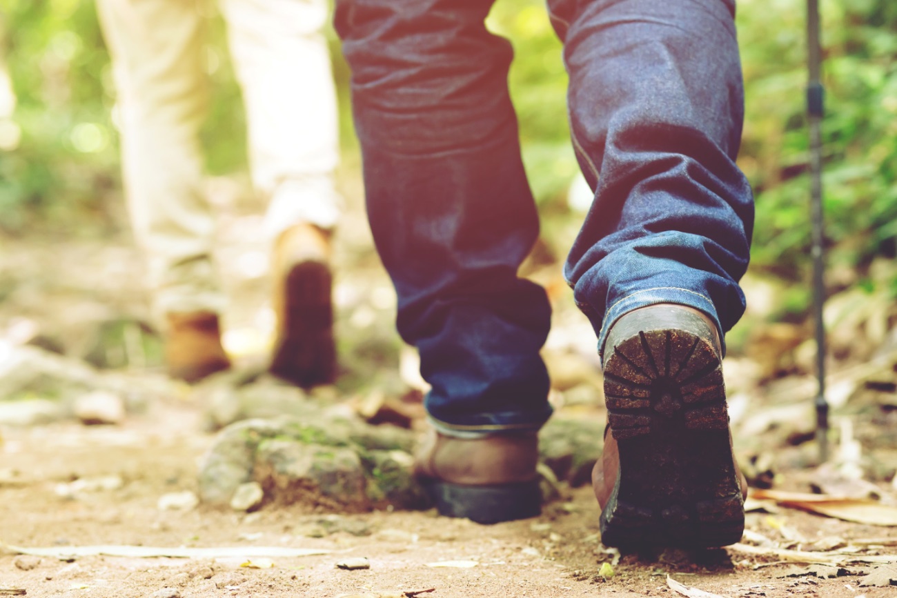 Wandelschoenen op een bospad